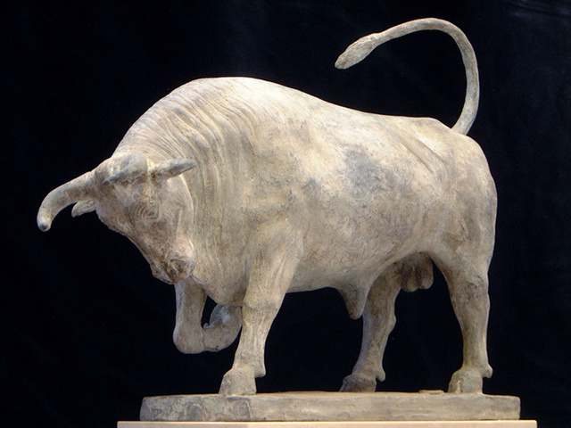 bull3.jpg